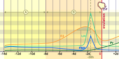 media/module4/mf/01.png