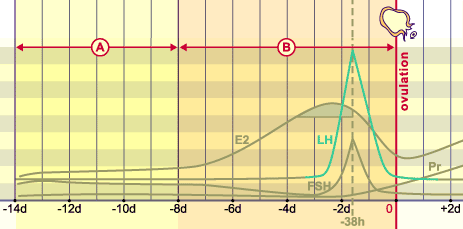 media/module4/mf/02.png