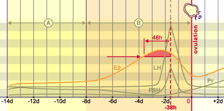 media/module4/mf/03.png