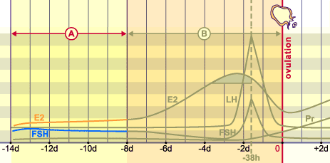 media/module4/mf/04.png