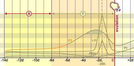 media/module4/mf/05.png