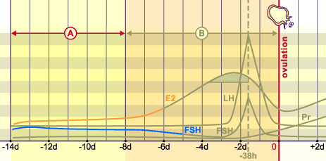 media/module4/mf/09.png