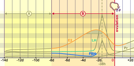 media/module4/mf/1213.png