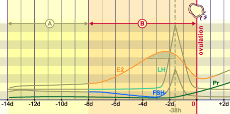 media/module4/mf/14.png