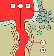 media/module10/f3_spiralee1.gif