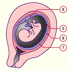 media/module10/f3h_evolcaduq.gif