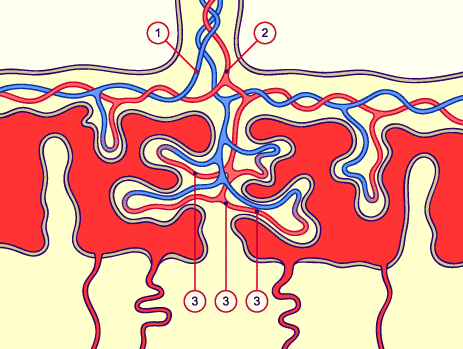 media/module10/f3kc1.gif