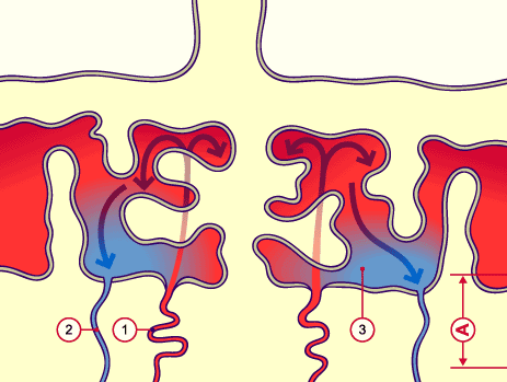 media/module10/f3kc2.gif