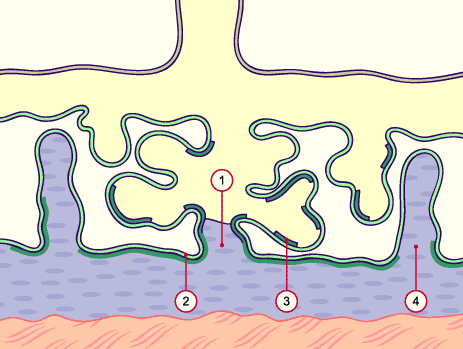 media/module10/f3kd1.gif