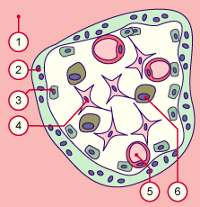 media/module10/millefeuille/f4e_2trim.gif