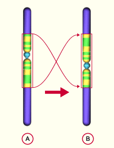 media/module11/k2f1_inversionperi.gif