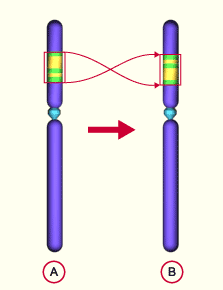 media/module11/k2f_inversionPara.gif