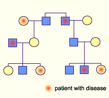 media/module11/k3a_inheritence.gif