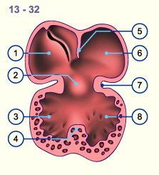 media/module16/p2d_umbauvorhof13N.gif