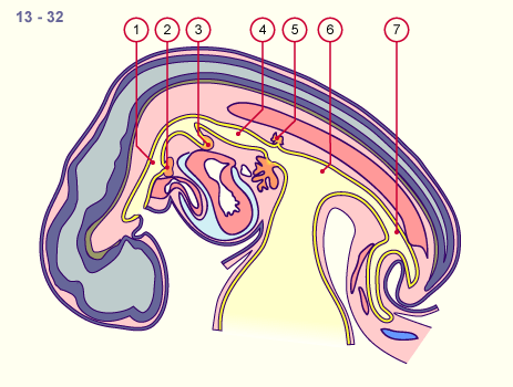 media/module19/s2a1_Mageneinfach.gif