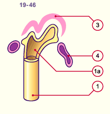 media/module20/t4c2_blasteme.gif