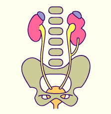 media/module20/t6d_ectopihaut.gif