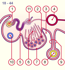 media/module21/u3m3_different.gif