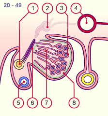 media/module21/u3m4_different.gif