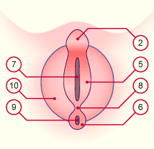 media/module21/u3zb4_formextern.gif