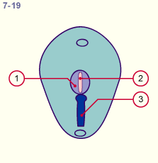 media/module22/v2m_h2c_ligneprim17.gif