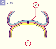 media/module22/v2p_h2_astad7_19.gif