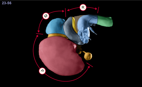 media/module22/v3d_st23.gif