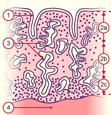 media/module6/g1f_secrettard.gif