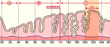 media/module6/g2c_fenetre.gif