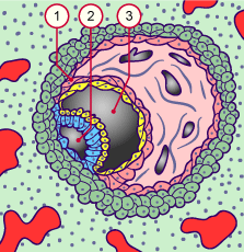 media/module7/h1c_schemdiskembr.gif