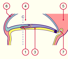 media/module7/h2ia1_astad7_19.gif