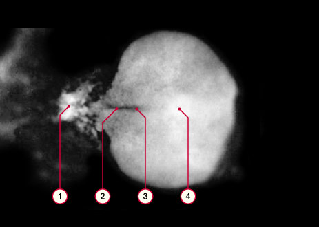 media/module8/carnegie/i1_kyotostad07.jpg