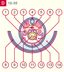 media/module8/i4m_coupD_st12.gif