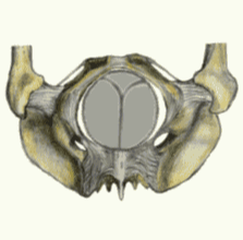 media/module9/j4g_ph3unten.gif