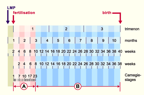 media/multuse/j1b_zeitper.gif