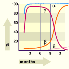 media/module10/f5b1_hemoglob.gif