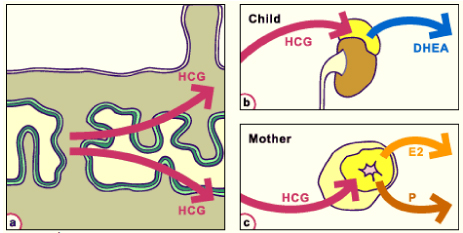 media/module10/fig37.jpg