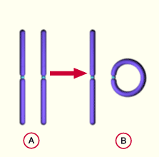 media/module11/k2d_ring.gif