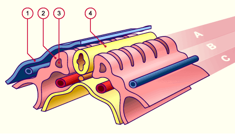 media/module14/m1b_SchnittStd10.gif