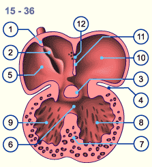 media/module16/p2e_umbauvorhof15N.gif