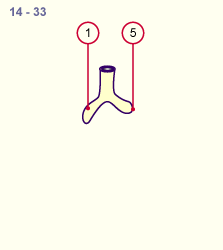 media/module18/r1b_entwicklung_st14.gif