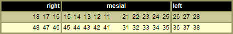 media/module19/tabelle_dent_EN.png