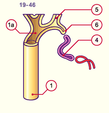 media/module20/t4c3_blasteme.gif