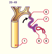 media/module20/t4c4_blasteme.gif