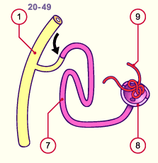 media/module20/t4c5_blasteme.gif