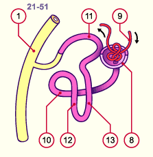 media/module20/t4c6_blasteme.gif