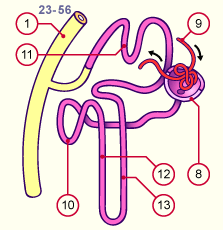 media/module20/t4c7_blasteme.gif