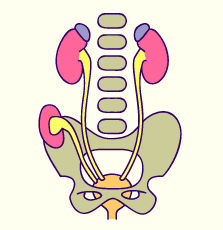 media/module20/t6b_surnum.gif