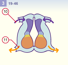 media/module22/v5d_developsegmentPOP3.gif