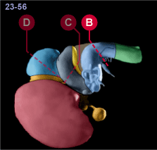 media/module22/v7a_planB_st23.gif